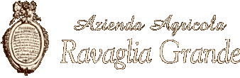 Agriturismo Bed &amp; Breakfast -  Ravaglia Grande - Castel Guelfo (Bologna)